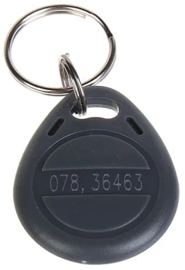 WL4 RFID tags grijs met key ring (10 stuks) met serienummer